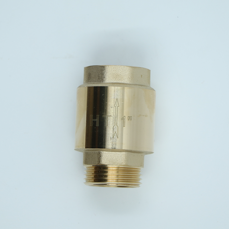 Check Valve With Nipple (HT)
